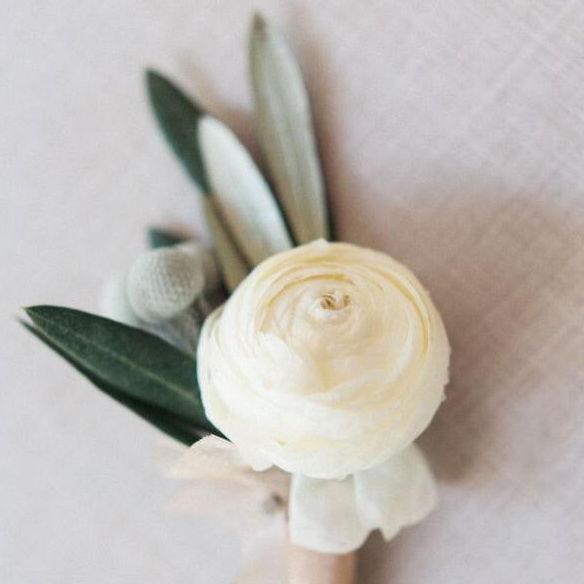 White Ranunculus Boutonniere