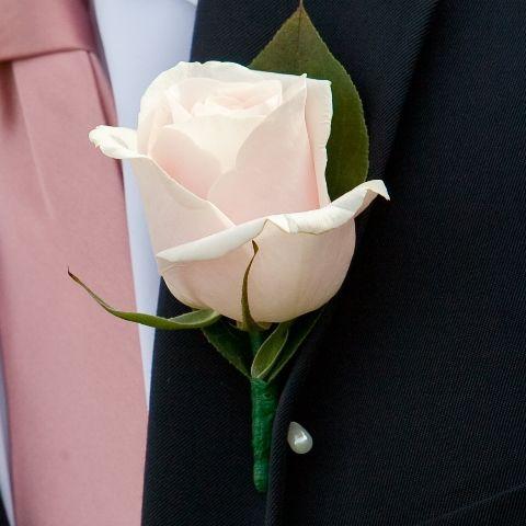 Blush Pink Rose Boutonniere